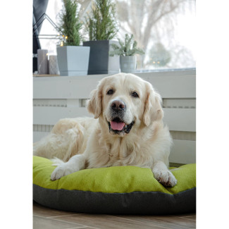 Лежак-Подушка Lucky Pet Морфей Салатовий №2, 50х70 см