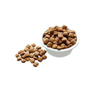 Сухий корм для собак великих порід Carpathian Pet Food Maxi Adult (вага від 25кг) з куркою та морським окунем, 3 кг